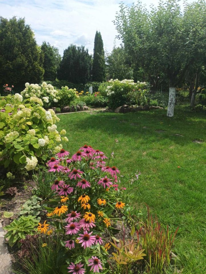 Działka rod Bełchatów, ul. Cegielniana. Zdjęcie 2