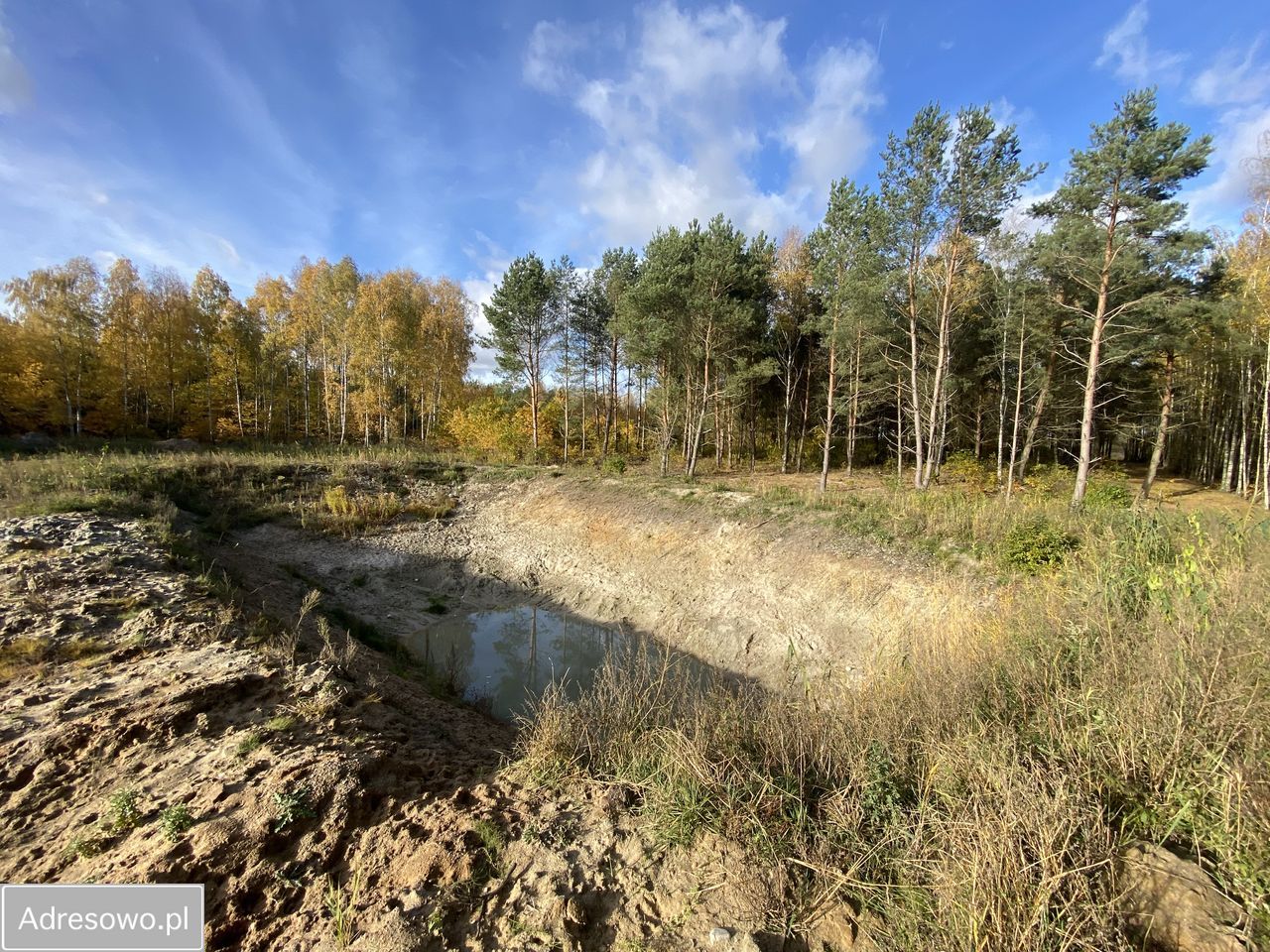 Działka budowlana Osiny. Zdjęcie 3