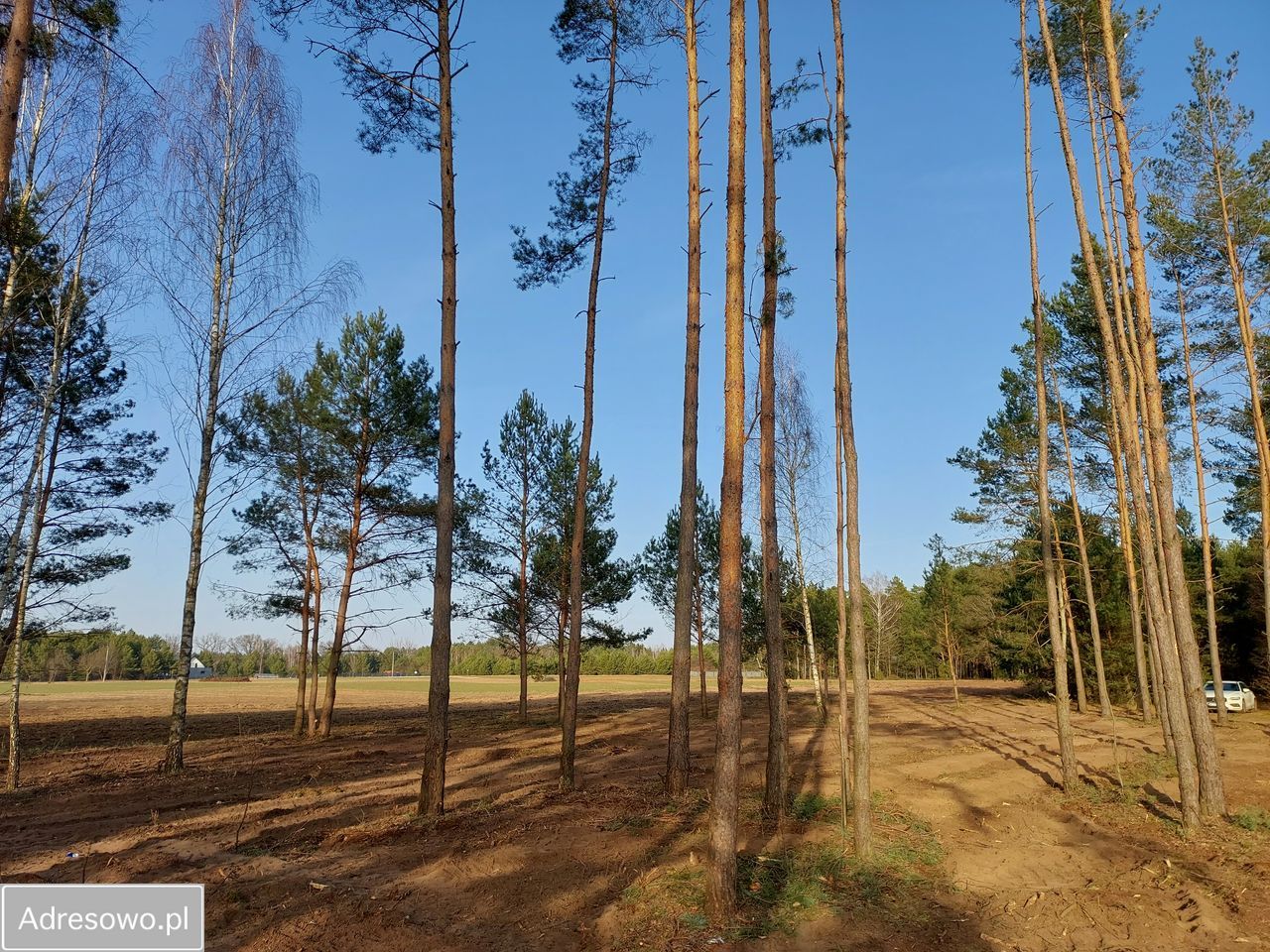 Działka rekreacyjna Rogóźno. Zdjęcie 8