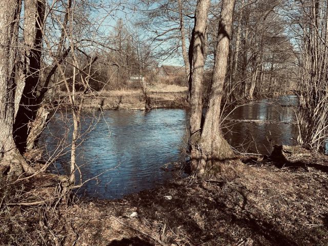 Działka budowlana Nadarzyce, Rzeka Piława. Zdjęcie 1