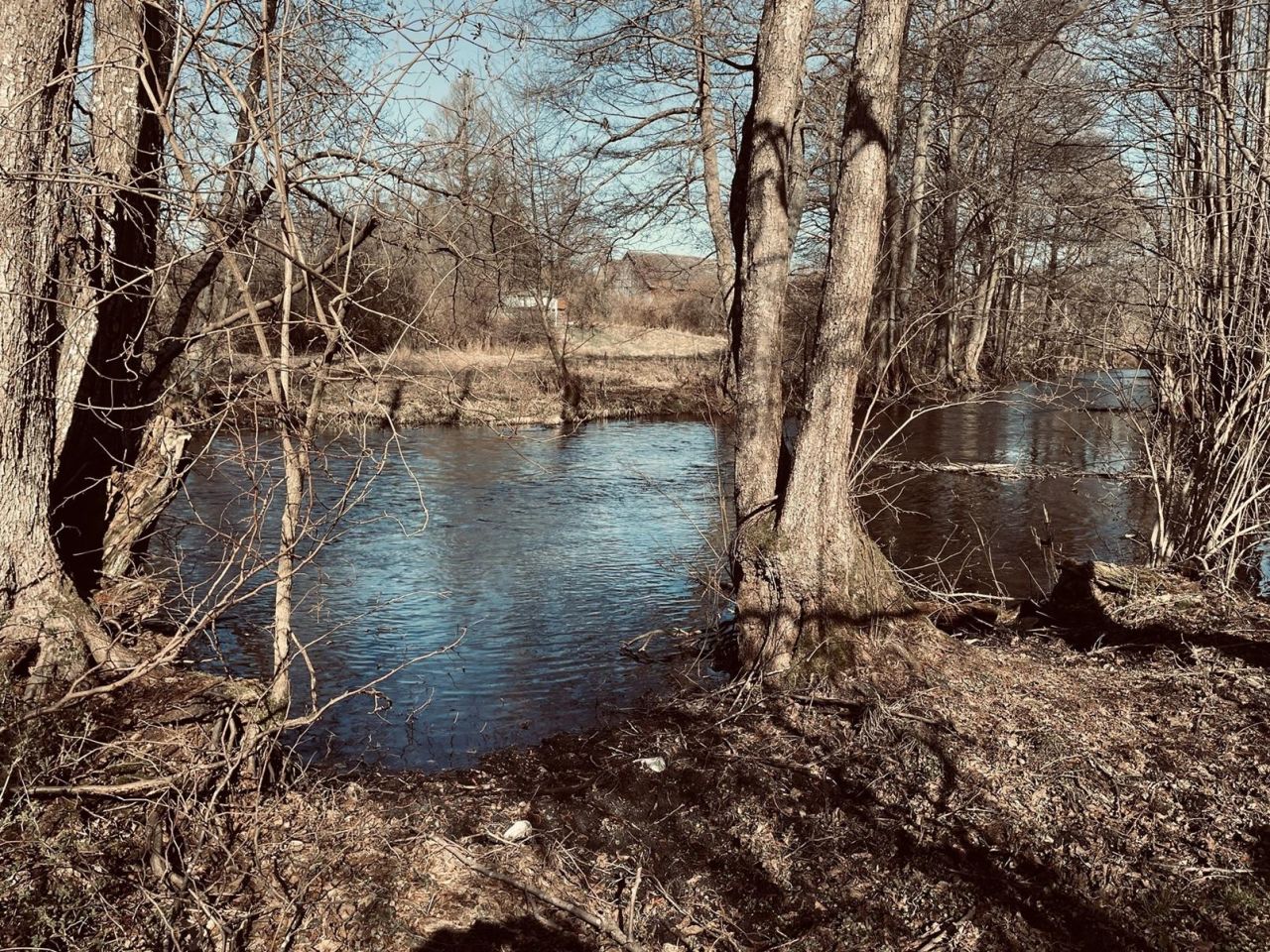 Działka budowlana Nadarzyce, Rzeka Piława. Zdjęcie 1