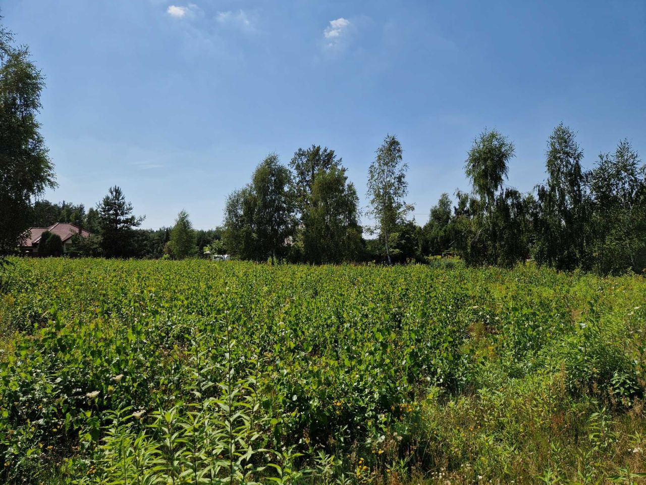 Działka budowlana Błędowo, ul. Słowiańska. Zdjęcie 13