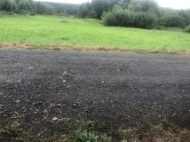 Działka rolno-budowlana Lubrza, ul. Ogrodowa. Zdjęcie 1