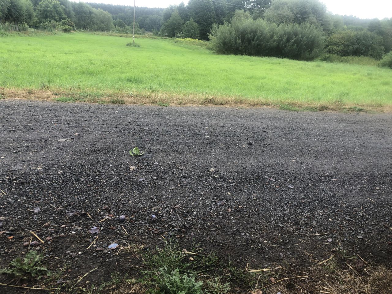 Działka rolno-budowlana Lubrza, ul. Ogrodowa. Zdjęcie 2