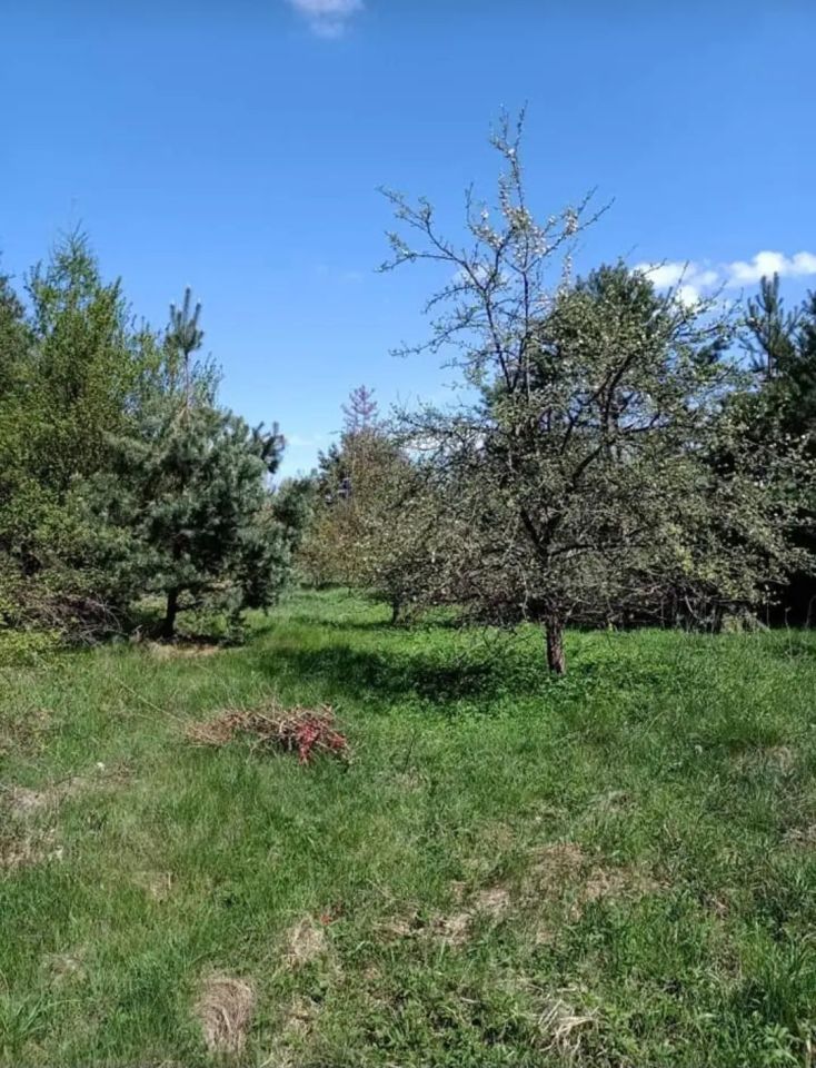 Działka budowlana Marcinków. Zdjęcie 3