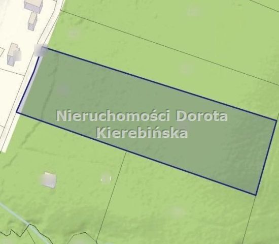 Działka leśna Kozłowiec. Zdjęcie 3