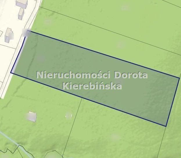 Działka leśna Kozłowiec. Zdjęcie 3