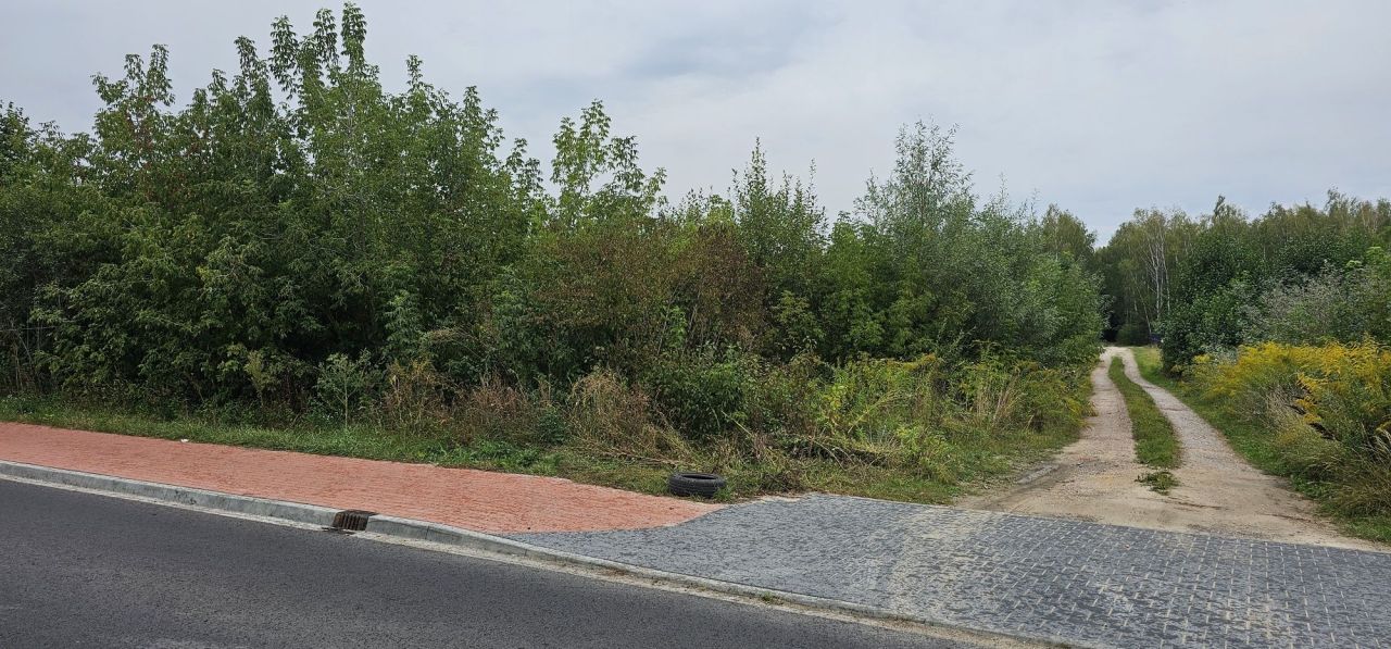 Działka budowlana Budy Zaklasztorne. Zdjęcie 4