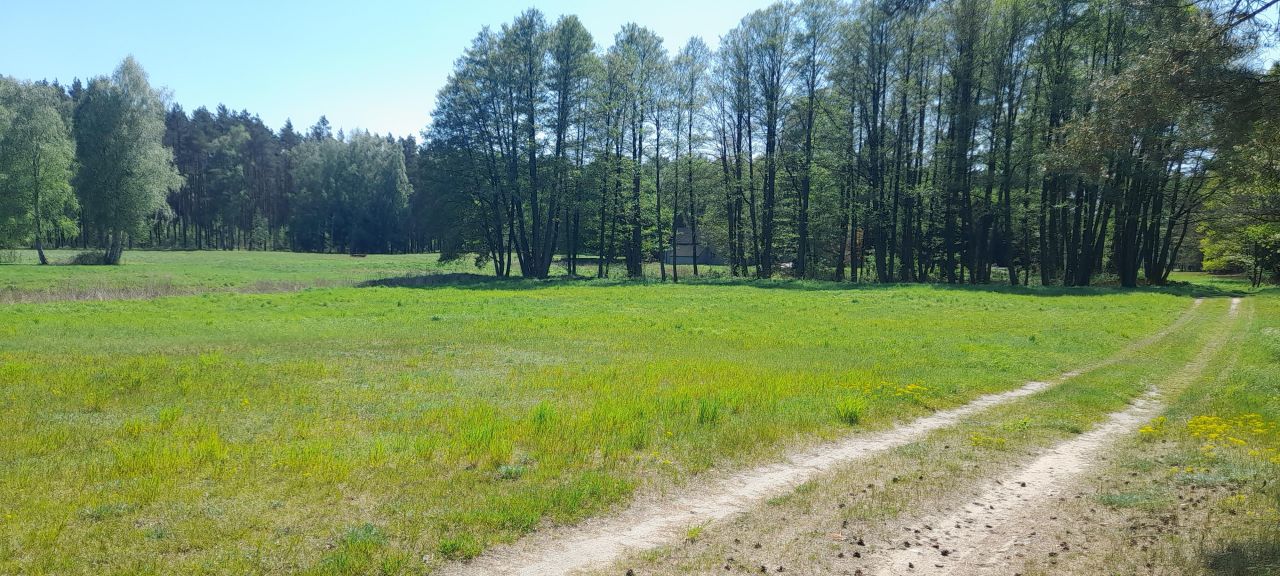 Działka siedliskowa Żydowo. Zdjęcie 3