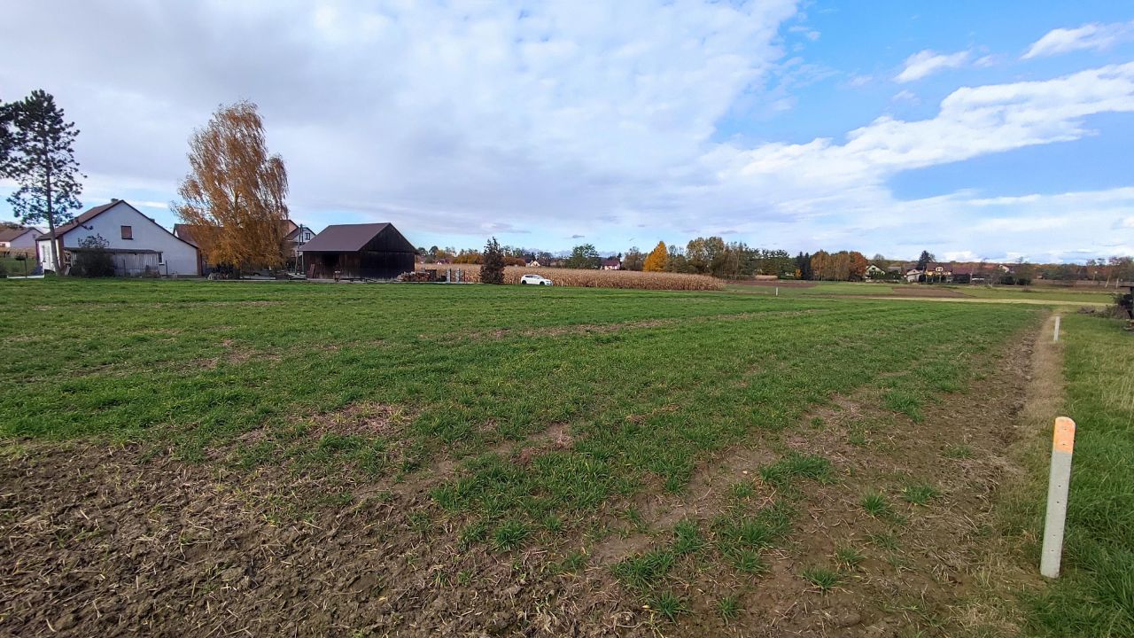 Działka budowlana Cichawa Zygmuntów. Zdjęcie 4