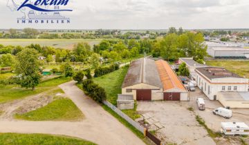 Lokal Rydzyna, ul. Kasztanowa