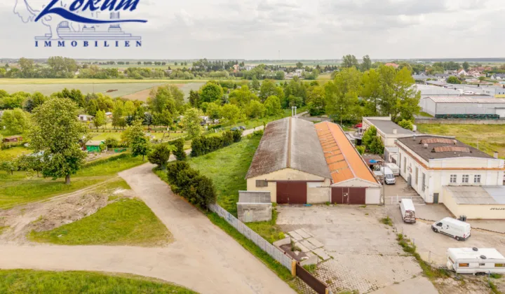 Lokal Rydzyna, ul. Kasztanowa