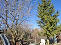 Działka rod Toruń Stare Miasto. Zdjęcie 2