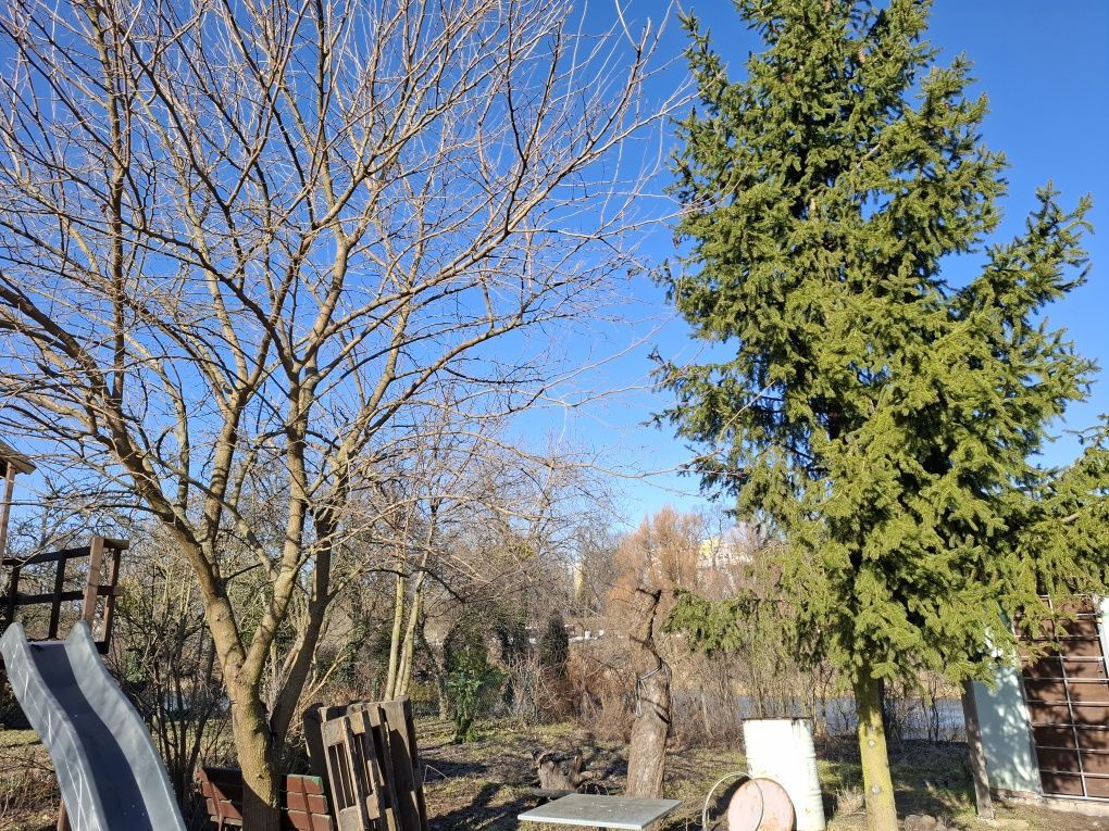 Działka rod Toruń Stare Miasto. Zdjęcie 3