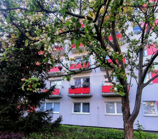 Mieszkanie 2-pokojowe Częstochowa Tysiąclecie, al. Aleja Armii Krajowej. Zdjęcie 14