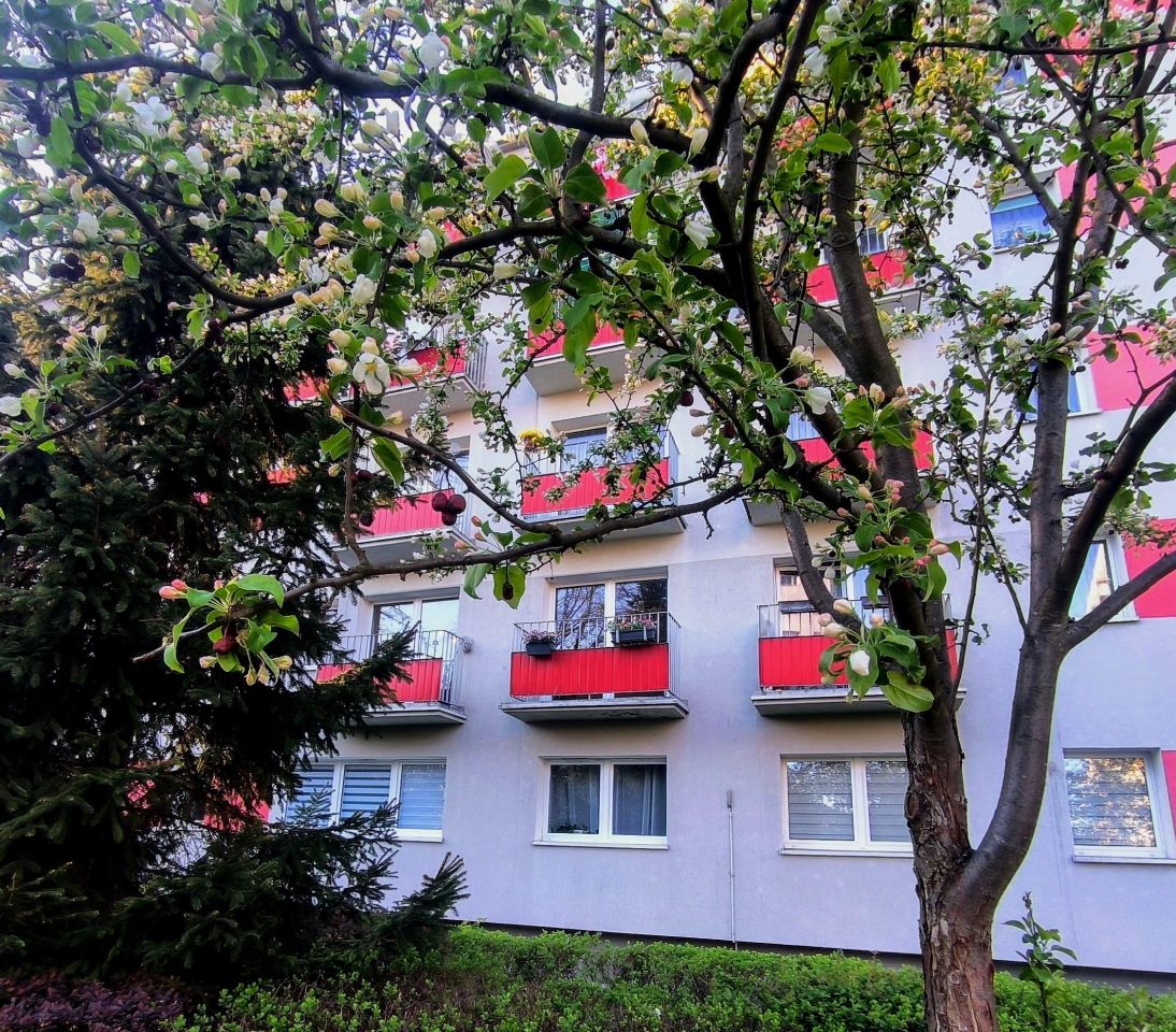 Mieszkanie 2-pokojowe Częstochowa Tysiąclecie, al. Aleja Armii Krajowej. Zdjęcie 14