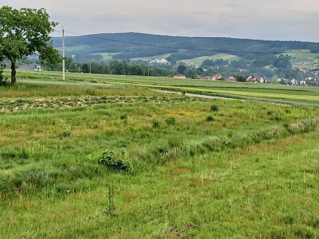 Działka budowlana Bieliny. Zdjęcie 4