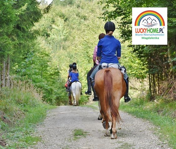 dom wolnostojący, 7 pokoi Magdalenka, ul. Lipowa. Zdjęcie 21