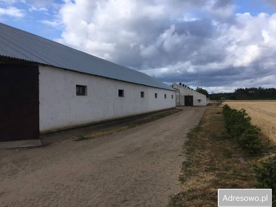 gospodarstwo Huta. Zdjęcie 7