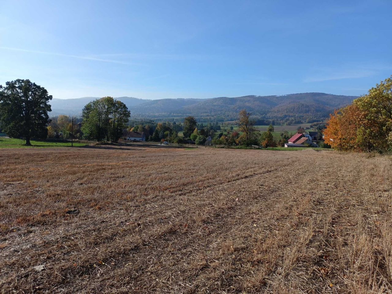 Działka budowlana Grodziszcze. Zdjęcie 2