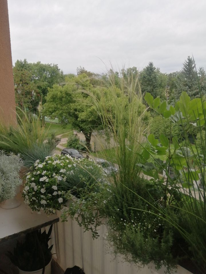 Mieszkanie 1-pokojowe Łódź, ul. Gnieźnieńska. Zdjęcie 6