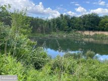 Działka inwestycyjna Lisica. Zdjęcie 2