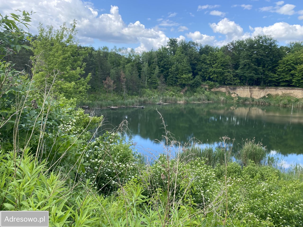 Działka inwestycyjna Lisica. Zdjęcie 3