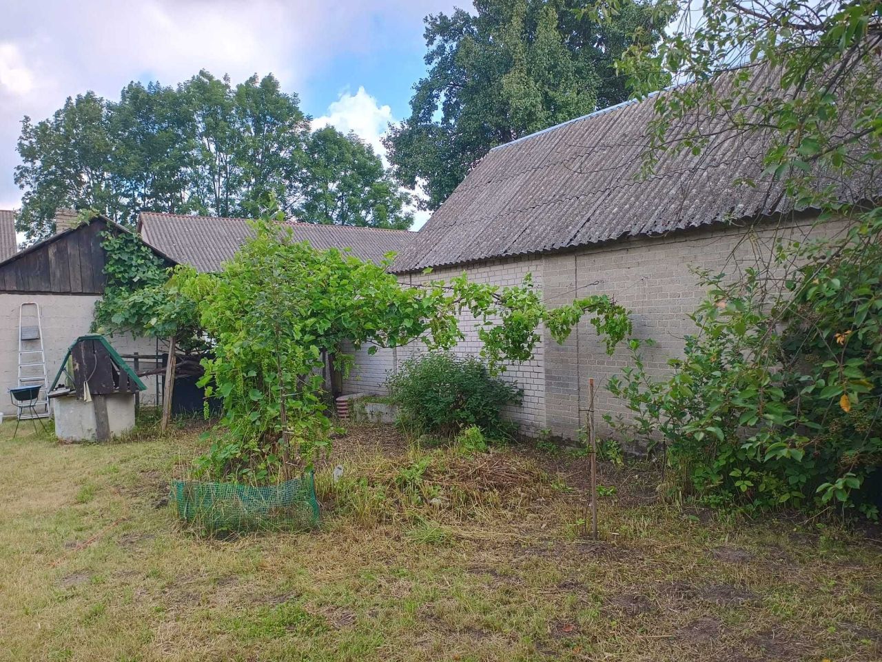 Działka siedliskowa Wierzchowiska Pierwsze. Zdjęcie 7