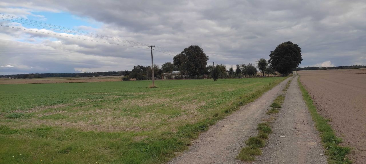 Działka budowlana Strzyżewice. Zdjęcie 4