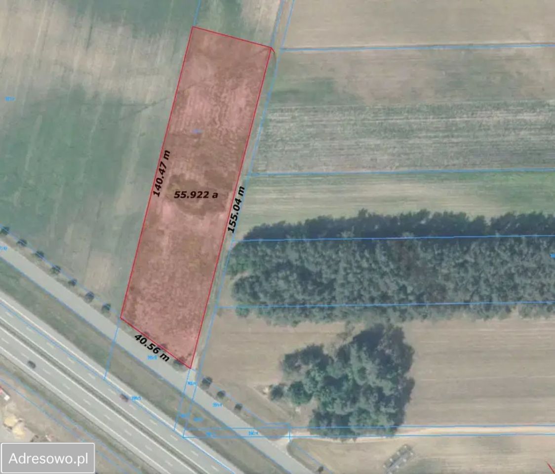 Działka rolno-budowlana Stare Żdżary. Zdjęcie 6