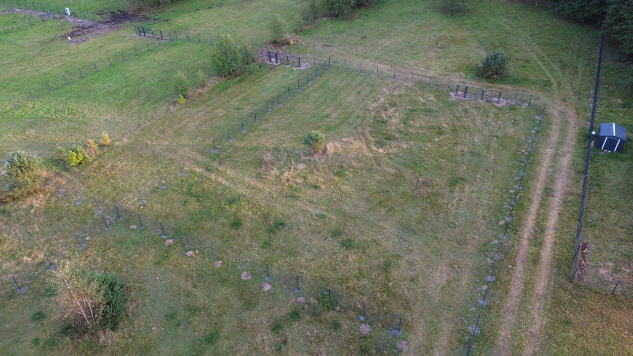 Działka rekreacyjna Napiórki Butne. Zdjęcie 7