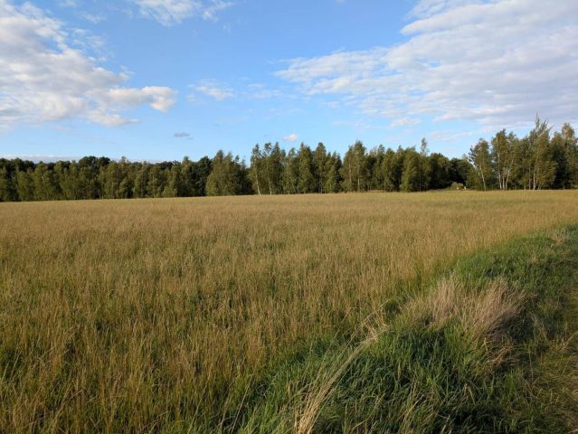 Działka rolna Kamienica nad Nysą Łużycką. Zdjęcie 1