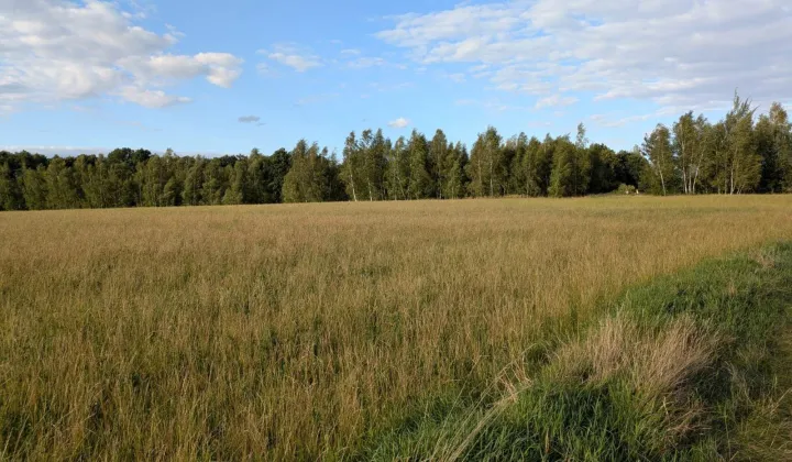Działka rolna Kamienica nad Nysą Łużycką