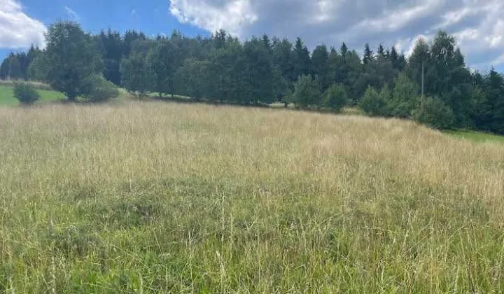 Działka rolno-budowlana Stara Wieś