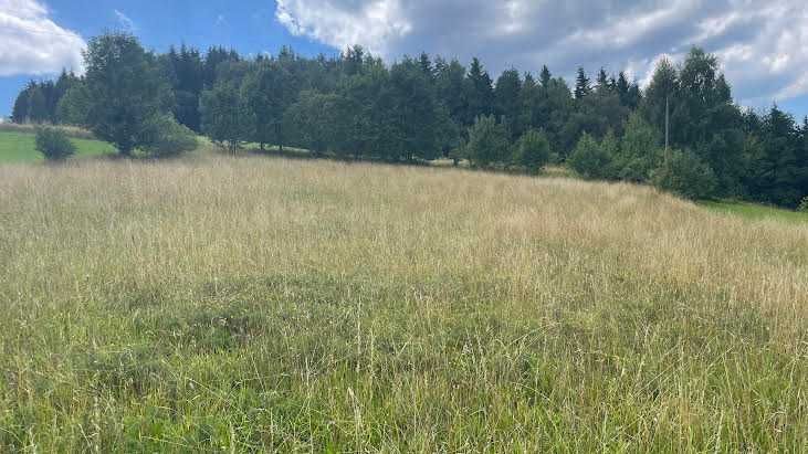 Działka rolno-budowlana Stara Wieś. Zdjęcie 1