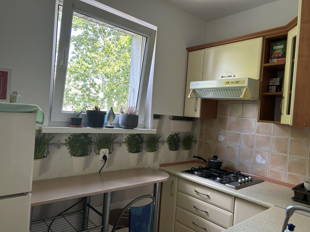 Mieszkanie 1-pokojowe Toruń Koniuchy, ul. Rusa. Zdjęcie 6
