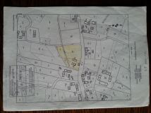 inny Osła. Zdjęcie 1