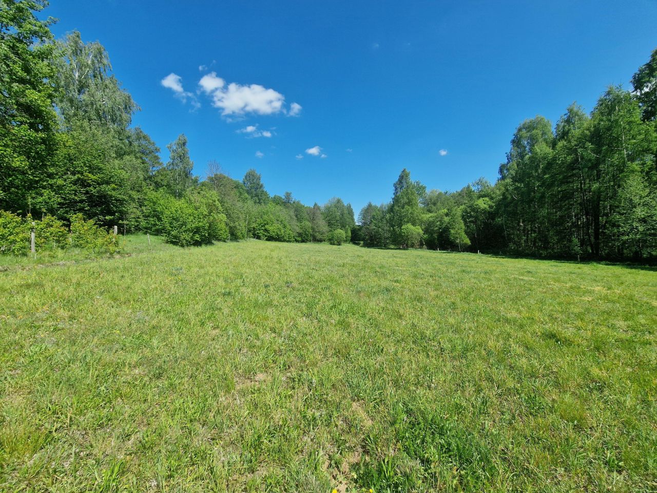 Działka inwestycyjna Malesowizna. Zdjęcie 5