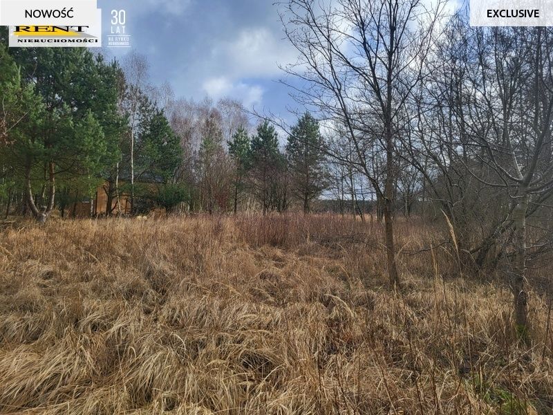 Działka rekreacyjna Chłopowo. Zdjęcie 8