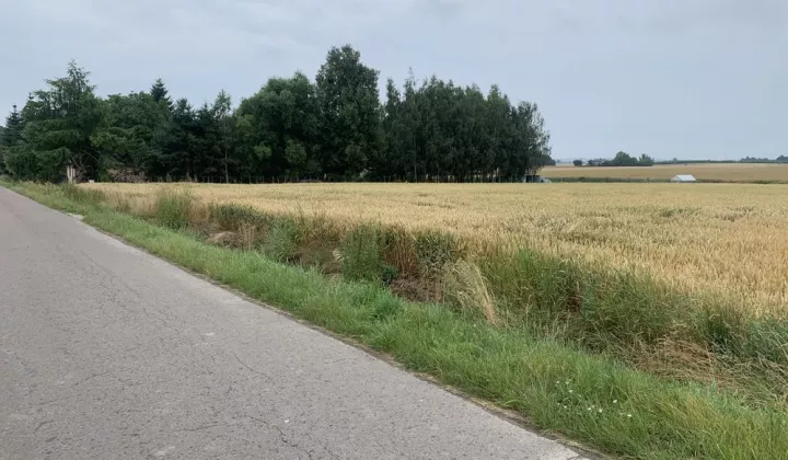 Działka rolno-budowlana Stężyca-Kolonia