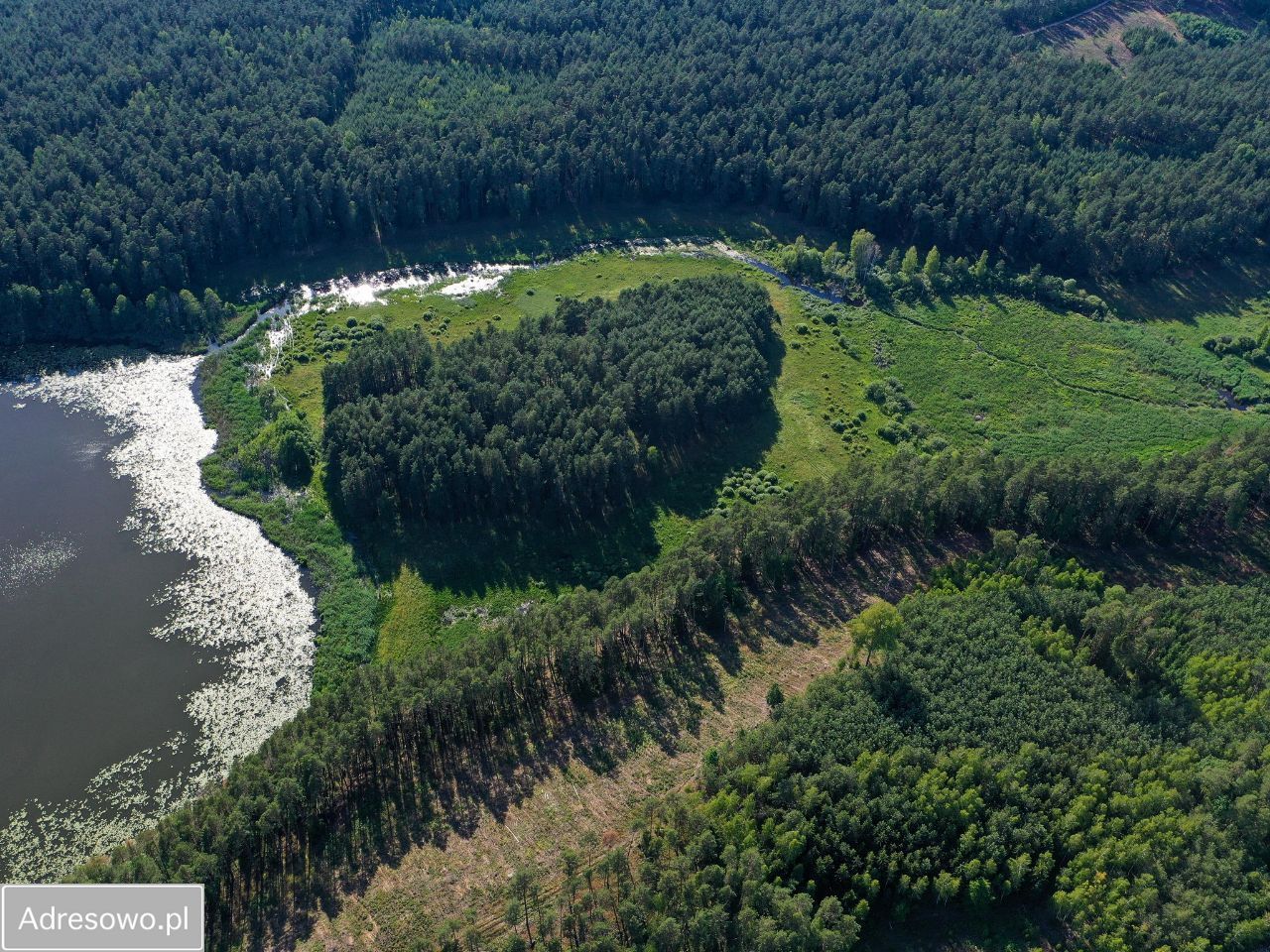 Działka rolna Jeleniowo. Zdjęcie 11