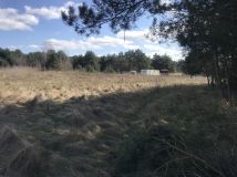 Działka rod Trzcianka. Zdjęcie 4