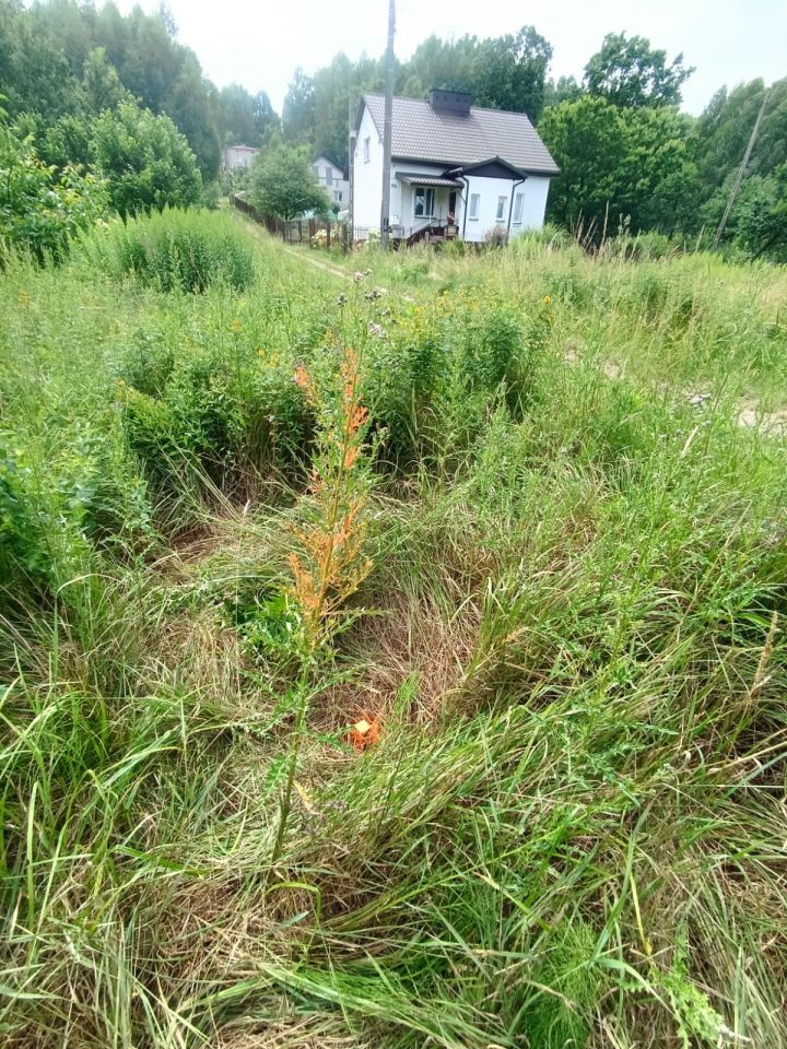 Działka budowlana Starachowice Górniki, ul. Kielecka. Zdjęcie 6