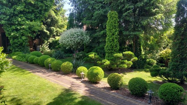 Działka rod Toruń Centrum, ul. Wielki Rów. Zdjęcie 1