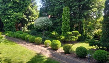 Działka rod Toruń Centrum, ul. Wielki Rów