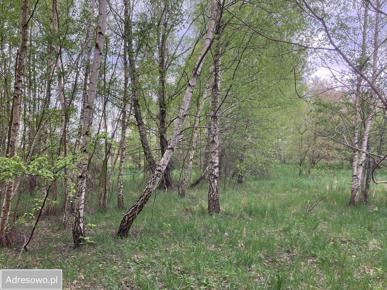 Działka budowlana Jagatowo, ul. Maślakowa. Zdjęcie 8