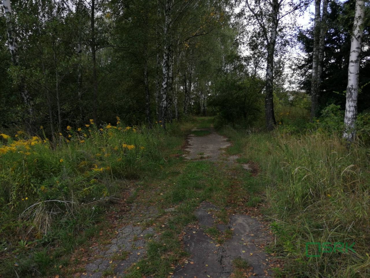 Działka inna Mszana, ul. Wodzisławska. Zdjęcie 5