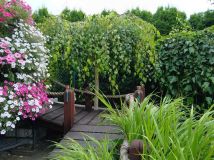 Działka rod Tuchola. Zdjęcie 3