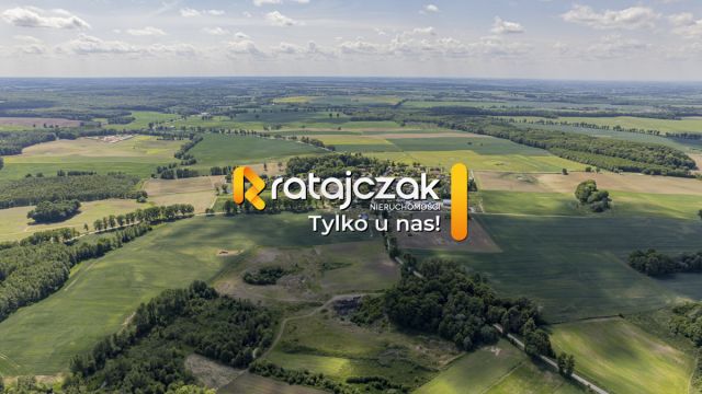 Działka budowlana Krasin. Zdjęcie 13