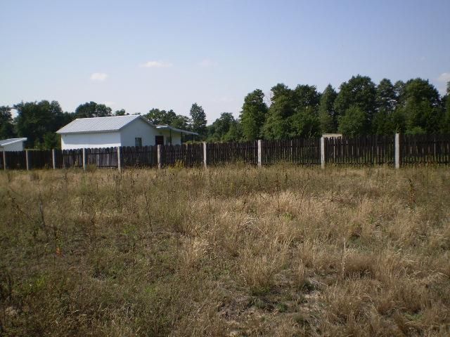 Działka rolno-budowlana Kaszewiec. Zdjęcie 2